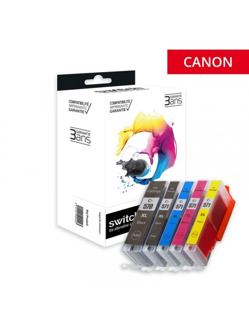 Pack cartouche CANON PG...